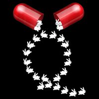 Qanon Follow The White Rabbit Red Pill Q Anon Pilled Drawstring Bag
