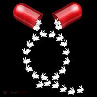 Qanon Follow The White Rabbit Red Pill Q Anon Pilled Sustainable Beanie