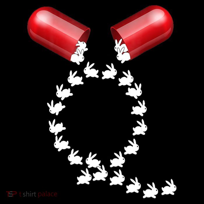 Qanon Follow The White Rabbit Red Pill Q Anon Pilled Sustainable Knit Beanie