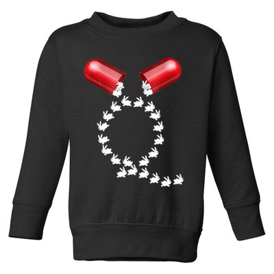 Qanon Follow The White Rabbit Red Pill Q Anon Pilled Toddler Sweatshirt