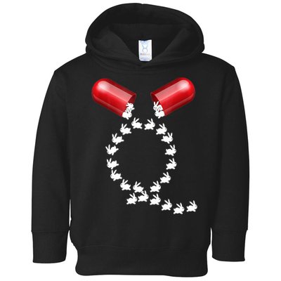 Qanon Follow The White Rabbit Red Pill Q Anon Pilled Toddler Hoodie