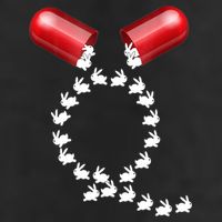 Qanon Follow The White Rabbit Red Pill Q Anon Pilled Microfiber Hand Towel