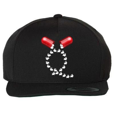 Qanon Follow The White Rabbit Red Pill Q Anon Pilled Wool Snapback Cap