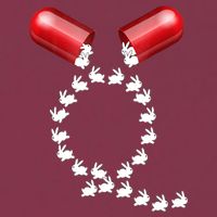 Qanon Follow The White Rabbit Red Pill Q Anon Pilled 16oz Travel Tumbler