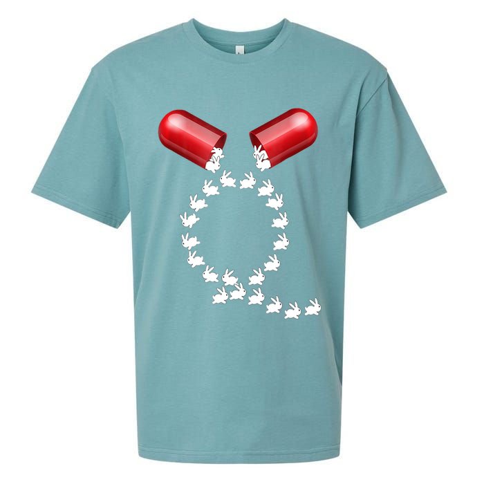 Qanon Follow The White Rabbit Red Pill Q Anon Pilled Sueded Cloud Jersey T-Shirt