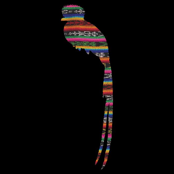 Quetzal Guatemala Chapin Antigua Tikal Tradicional Maya Kids T-Shirt