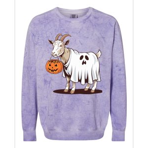 Quirky Goat Ghost Retro Halloween Humor Great Gift Colorblast Crewneck Sweatshirt