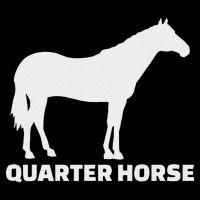 Quarter Horse Sustainable Bucket Hat