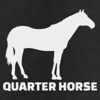 Quarter Horse Adult Drive Performance Visor