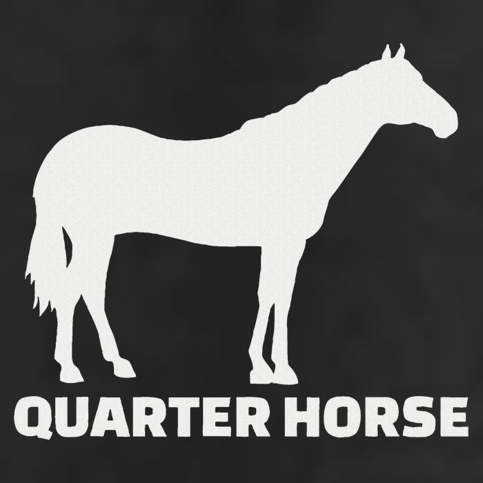 Quarter Horse Adult Drive Performance Visor