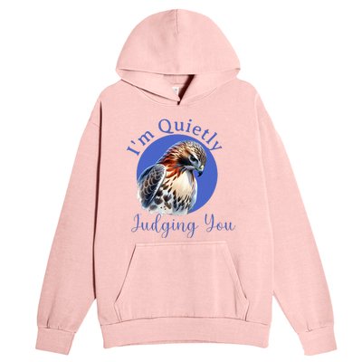 Quietly Judging You Urban Pullover Hoodie