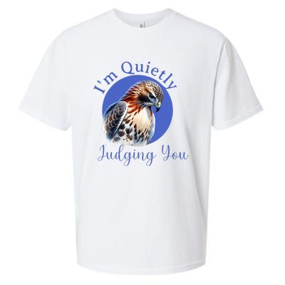 Quietly Judging You Sueded Cloud Jersey T-Shirt