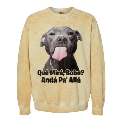 Que Miras Bobo Funny Pitbull Dog Funny Haters Colorblast Crewneck Sweatshirt