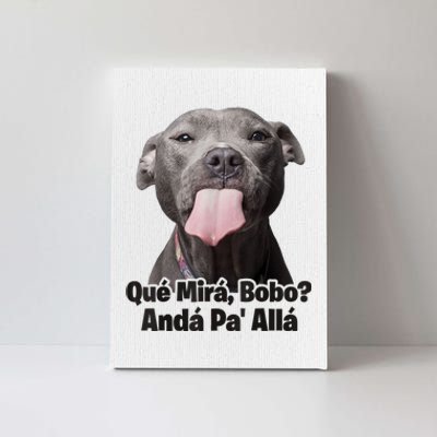 Que Miras Bobo Funny Pitbull Dog Funny Haters Canvas