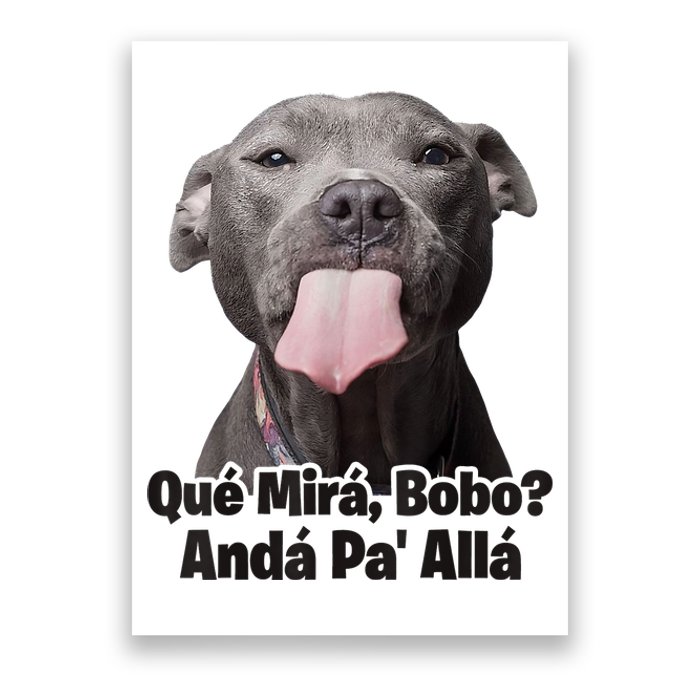 Que Miras Bobo Funny Pitbull Dog Funny Haters Poster