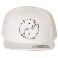 Quantum Mechanics Formula String Theory Maths Universe Wool Snapback Cap