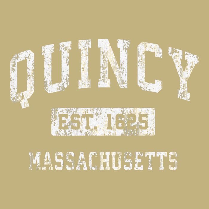 Quincy Massachusetts Ma Vintage Established Button