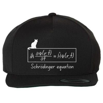 Quantum Mechanics Physics With SchröDinger Equation Design Wool Snapback Cap