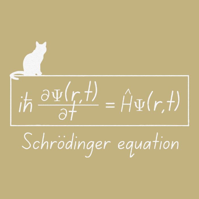 Quantum Mechanics Physics With SchröDinger Equation Design Cooling Performance Crew T-Shirt