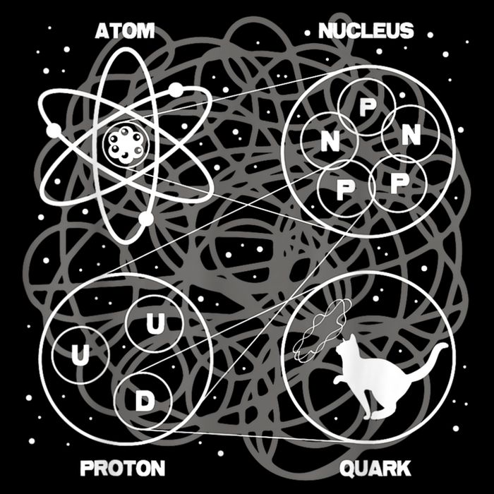 Quantum Mechanics String Theory Physicist Science Lover Daily Commute Backpack