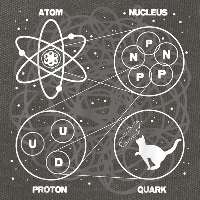 Quantum Mechanics String Theory Physicist Science Lover Cotton Canvas Backpack