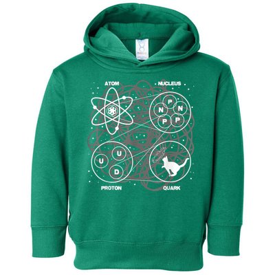 Quantum Mechanics String Theory Physicist Science Lover Toddler Hoodie