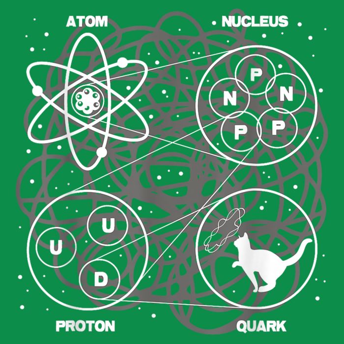 Quantum Mechanics String Theory Physicist Science Lover Women's T-Shirt