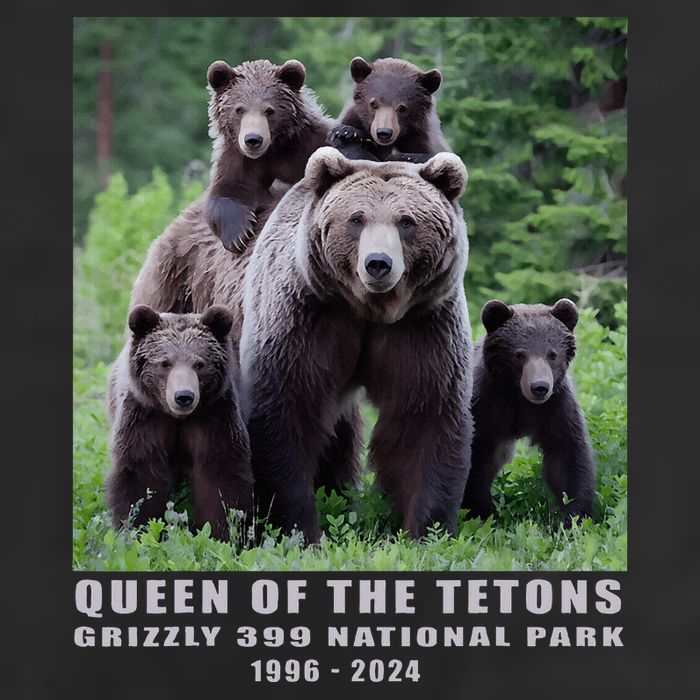 Queen Of The Tetons Grizzly 399 National Park 1996 2024 Adult Drive Performance Visor