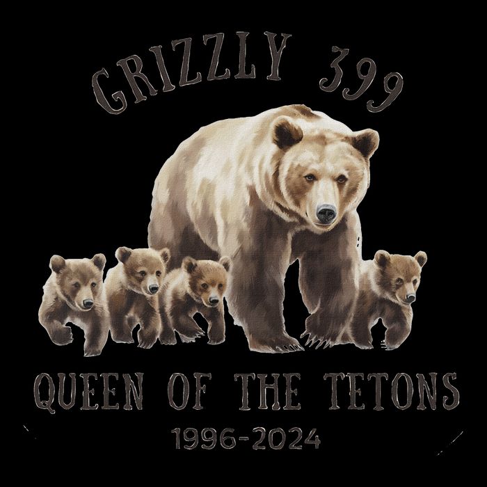 Queen Of The Tetons Grizzly Bear 399 Drawstring Bag