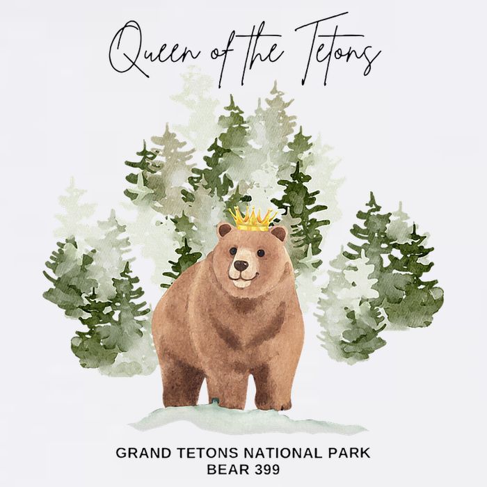 Queen Of The Tetons Grizzly Bear 399 Gtnp Magnet