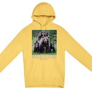 Queen Of The Tetons Grizzly 399 National Park 1996 2024 Premium Pullover Hoodie