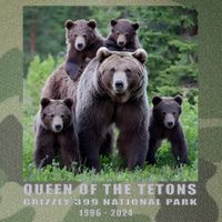 Queen Of The Tetons Grizzly 399 National Park 1996 2024 Legacy Tie Dye Trucker Hat
