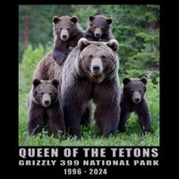 Queen Of The Tetons Grizzly 399 National Park 1996 2024 Sustainable Bucket Hat