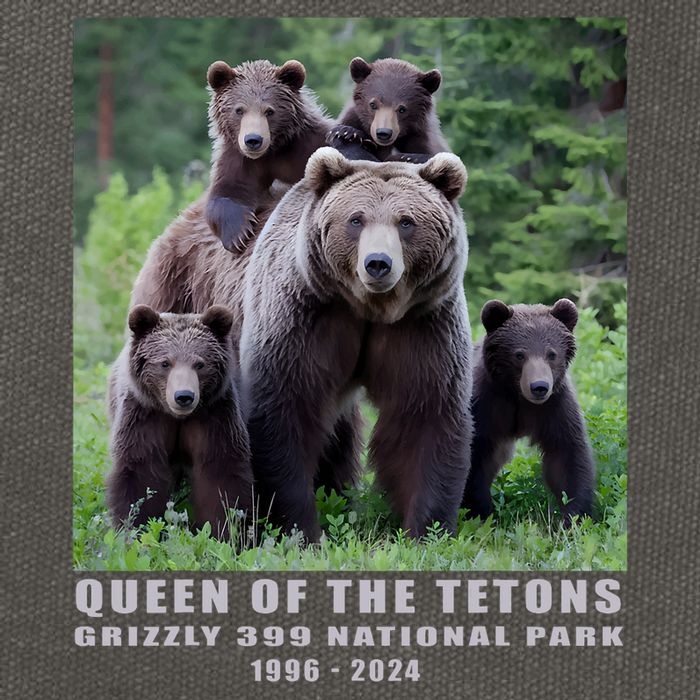 Queen Of The Tetons Grizzly 399 National Park 1996 2024 Cotton Canvas Backpack