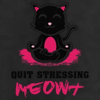 Quit Stressing Meowt Funny Meditation Lotus Seat Cat Yoga Adult Drive Performance Visor