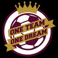 Qatar Soccer One Team One Dream Poster