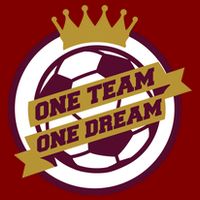 Qatar Soccer One Team One Dream Cooling Performance Crew T-Shirt