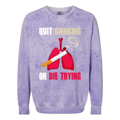 Quit Smoking Or Die Trying Lung Cancer World No Tobacco Day Gift Colorblast Crewneck Sweatshirt