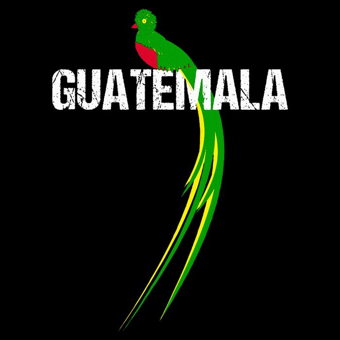 Quetzal The National Bird Of Guatemala Cooling Performance Crew T-Shirt