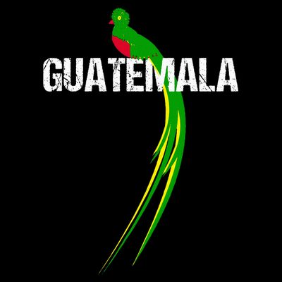 Quetzal The National Bird Of Guatemala T-Shirt