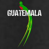 Quetzal The National Bird Of Guatemala 11oz C Handle Ceramic Mug