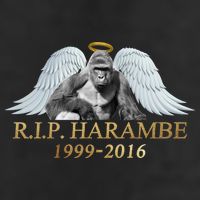 R.I.P. Harambe Our Angel In Heaven 1999-2016 Cool Comfort Performance Bucket Hat