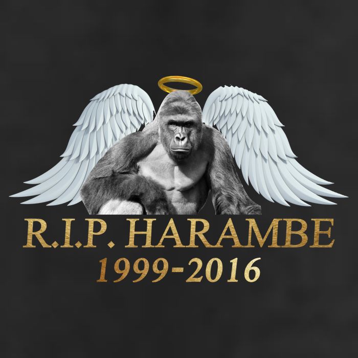 R.I.P. Harambe Our Angel In Heaven 1999-2016 Cool Comfort Performance Bucket Hat