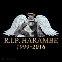 R.I.P. Harambe Our Angel In Heaven 1999-2016 7-Panel Snapback Hat