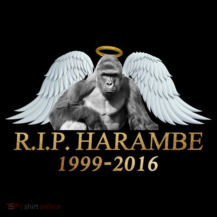 R.I.P. Harambe Our Angel In Heaven 1999-2016 Flatbill Hat
