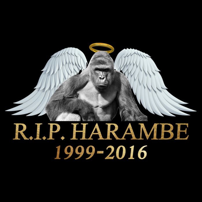 R.I.P. Harambe Our Angel In Heaven 1999-2016 Kids T-Shirt