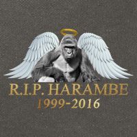R.I.P. Harambe Our Angel In Heaven 1999-2016 Cotton Canvas Backpack