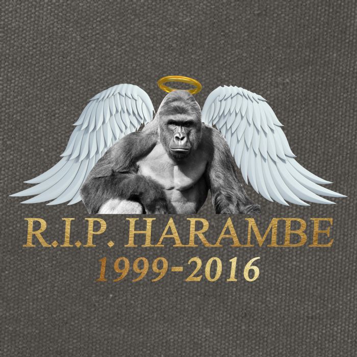 R.I.P. Harambe Our Angel In Heaven 1999-2016 Cotton Canvas Backpack