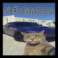 Rule 1 Always Boss Up Funny Cat Meme Mousepad