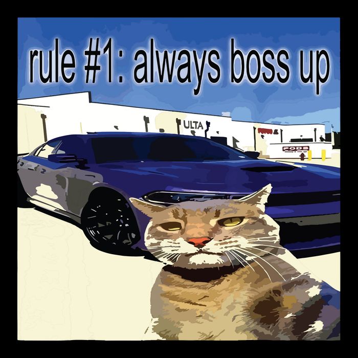 Rule 1 Always Boss Up Funny Cat Oddly Specific Dank Meme Flat Bill Trucker Hat